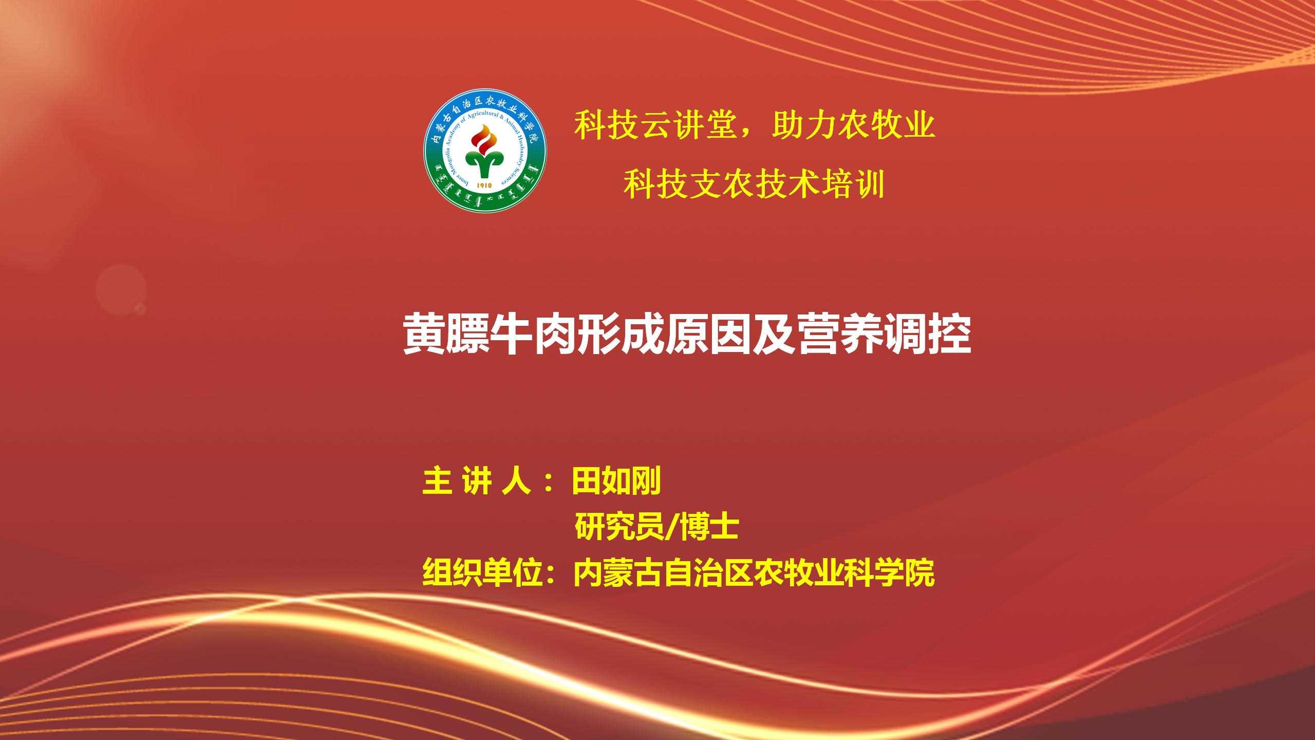 黄膘牛肉形成原因及营养调控